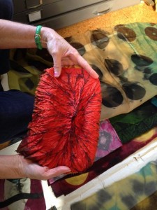 Rhonda Ellis with Shibori silks