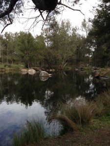 Blue Hole picnic spot